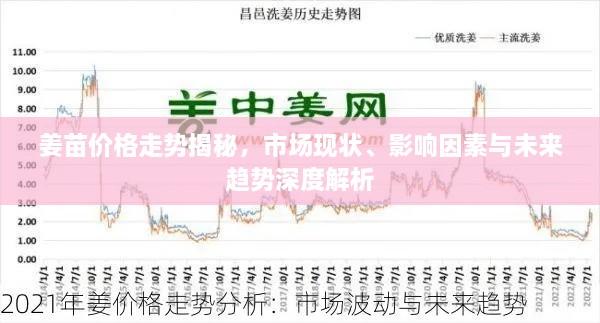 姜苗價格走勢揭秘，市場現(xiàn)狀、影響因素與未來趨勢深度解析