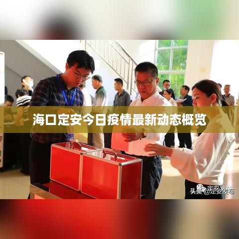 ?？诙ò步袢找咔樽钚聞討B(tài)概覽