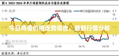 今日雞蛋價格走勢報告，最新行情分析