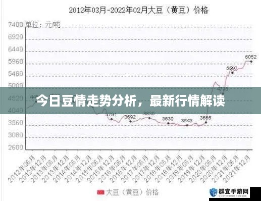 今日豆情走勢分析，最新行情解讀