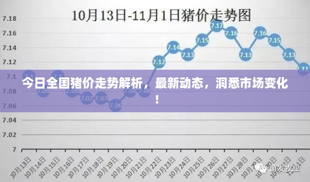 今日全國(guó)豬價(jià)走勢(shì)解析，最新動(dòng)態(tài)，洞悉市場(chǎng)變化！