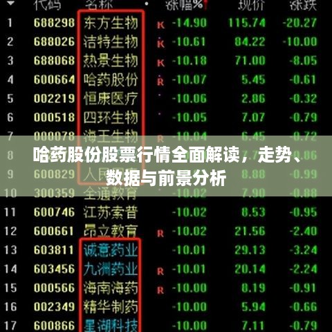 哈藥股份股票行情全面解讀，走勢、數(shù)據(jù)與前景分析