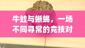 牛蛙與蜥蜴，一場不同尋常的競技對決