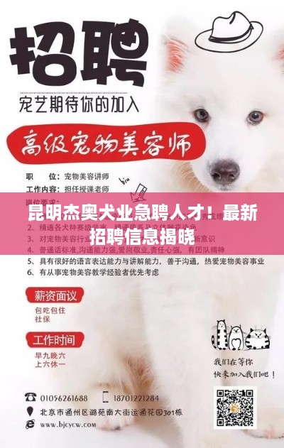 昆明杰奧犬業(yè)急聘人才！最新招聘信息揭曉