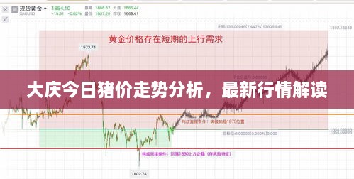 大慶今日豬價走勢分析，最新行情解讀