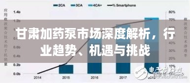 甘肅加藥泵市場深度解析，行業(yè)趨勢、機(jī)遇與挑戰(zhàn)