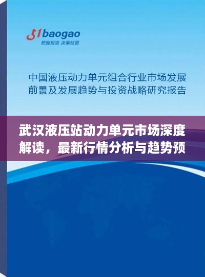 武漢液壓站動力單元市場深度解讀，最新行情分析與趨勢預(yù)測