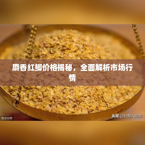 麝香紅鯽價(jià)格揭秘，全面解析市場(chǎng)行情