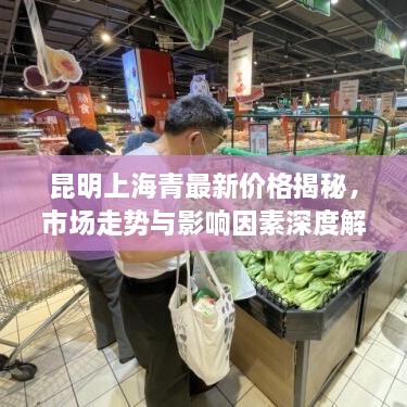 昆明上海青最新價格揭秘，市場走勢與影響因素深度解析