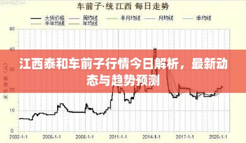 江西泰和車前子行情今日解析，最新動(dòng)態(tài)與趨勢預(yù)測