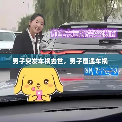 男子突發(fā)車禍去世，男子遭遇車禍 