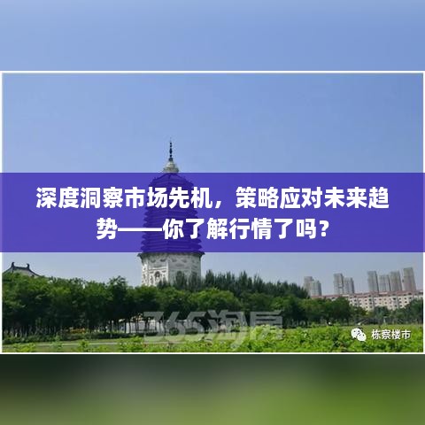 深度洞察市場先機(jī)，策略應(yīng)對未來趨勢——你了解行情了嗎？