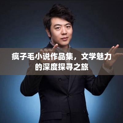 瘋子毛小說作品集，文學(xué)魅力的深度探尋之旅